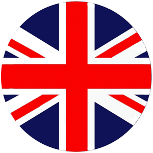 language icon